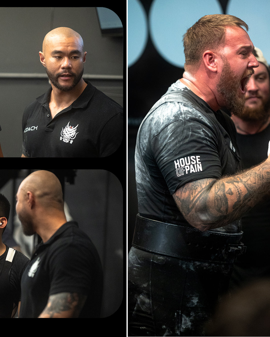 Any Given Sunday V (APL - House of Pain) - 7th September